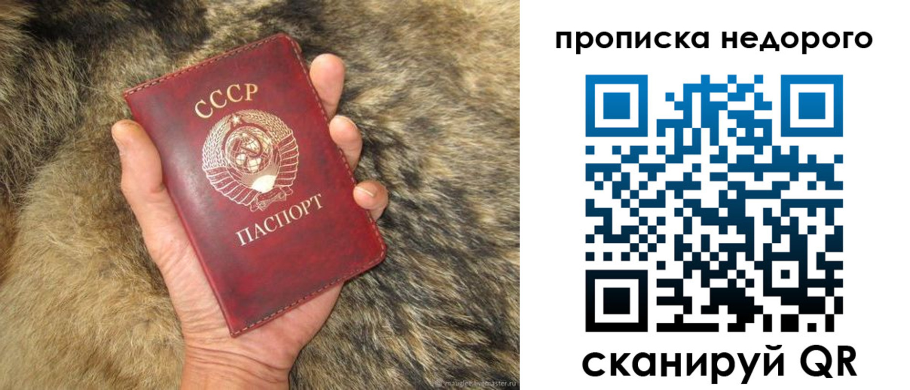 прописка для школы в Сергаче